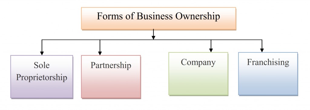 forms-types-of-business-ownership-management-notes-study-material